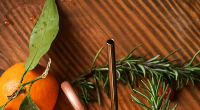 Trang trí Cocktail Nam Việt Quất Trang trí Cocktail Nam Việt Quất