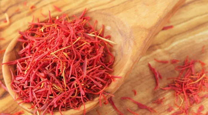Aquilla Saffron Aquilla Saffron