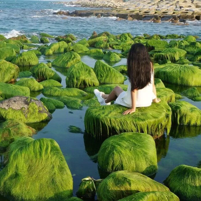 biển cổ thạch