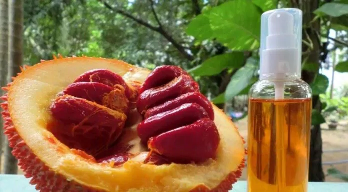 Mặt nạ từ Dầu Gấc Mặt nạ từ Dầu Gấc
