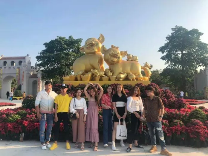 Cận cạnh những chú heo vàng tại quảng trường Happyland