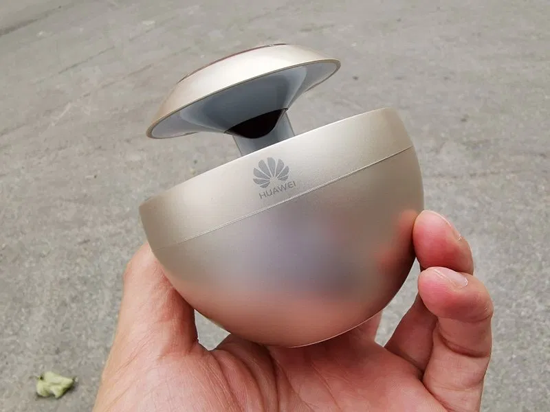 Đúng như tên gọi nó có hình khá giống với một con thiên nga