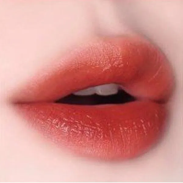 Màu cam đất trendy (nguồn: Internet)