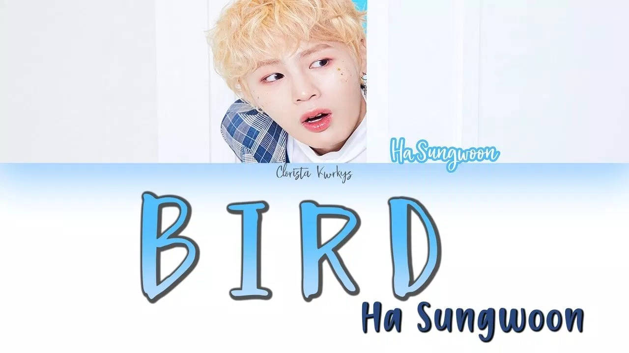 MV "BIRD"