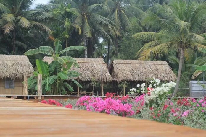 Đằng xa là những ngôi nhà mát