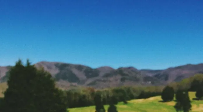 nhẫn cưới hình xăm tattoo rings