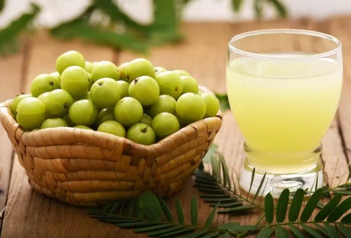Nước ép me rừng giữ cho hệ thống tiêu hóa của bạn hoạt động suốt cả ngày và tăng tốc quá trình trao đổi chất Nước ép me rừng giữ cho hệ thống tiêu hóa của bạn hoạt động suốt cả ngày và tăng tốc quá trình trao đổi chất