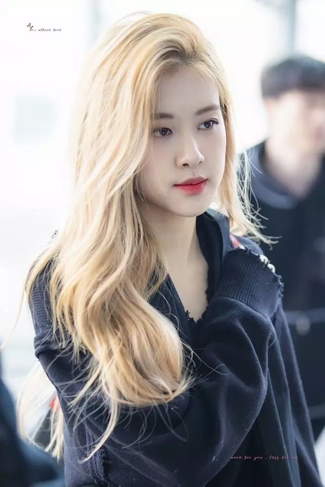  Rosé 