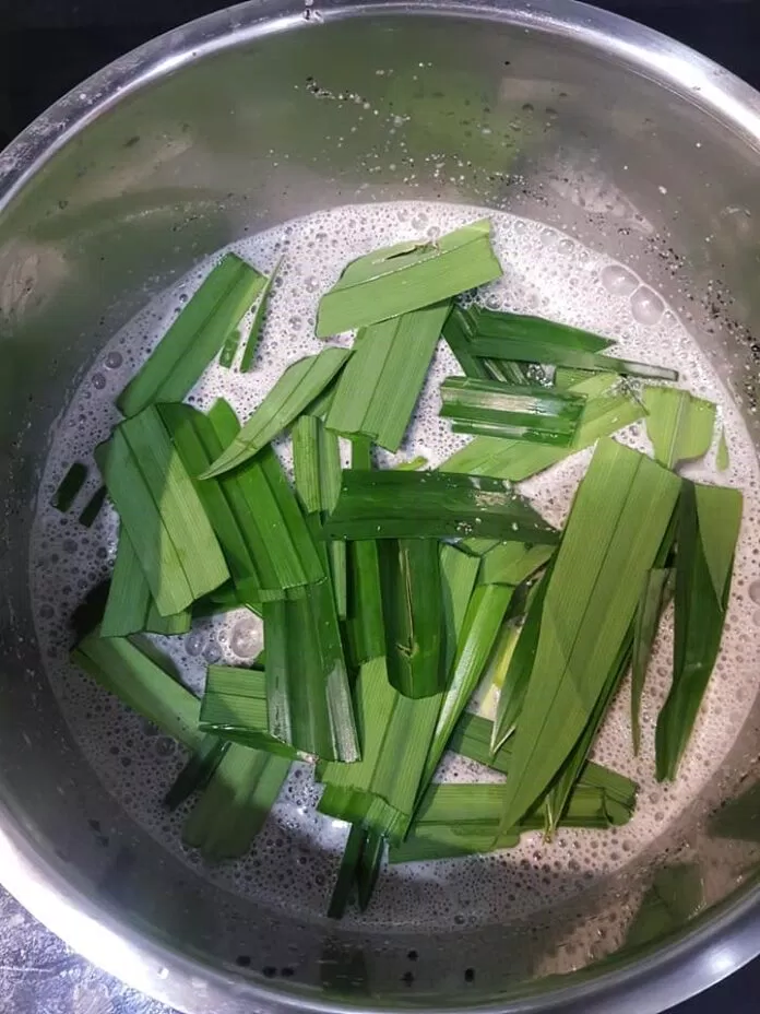 Sữa mè đen