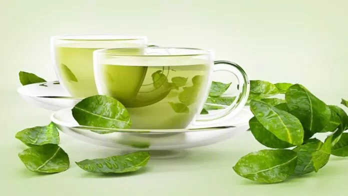 Uống trà xanh rất tốt cho sức khỏe Uống trà xanh rất tốt cho sức khỏe