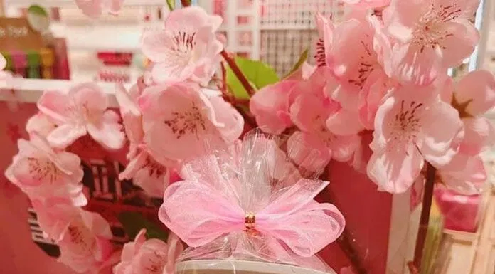 Nên sử dụng kem dưỡng trắng da Innisfree Cherry Blossom Tone Up Cream vào ban ngày