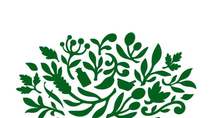 Logo thương hiệu Innisfree