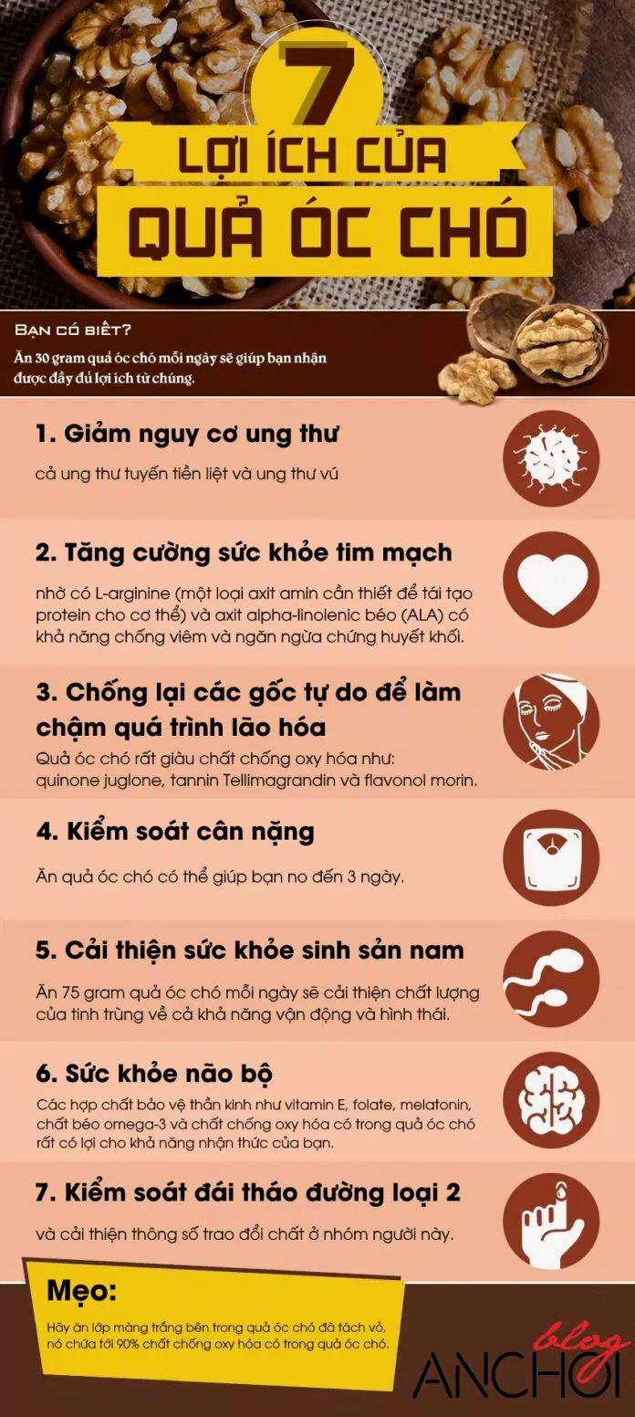 Quả óc chó có rất nhiều công dụng đối với sức khỏe, trong đó có 7 công dụng nổi bật nhất được liệt kê trong bài viết này Quả óc chó có rất nhiều công dụng đối với sức khỏe, trong đó có 7 công dụng nổi bật nhất được liệt kê trong bài viết này