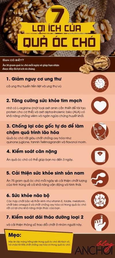 Quả óc chó có rất nhiều công dụng đối với sức khỏe, trong đó có 7 công dụng nổi bật nhất được liệt kê trong bài viết này Quả óc chó có rất nhiều công dụng đối với sức khỏe, trong đó có 7 công dụng nổi bật nhất được liệt kê trong bài viết này