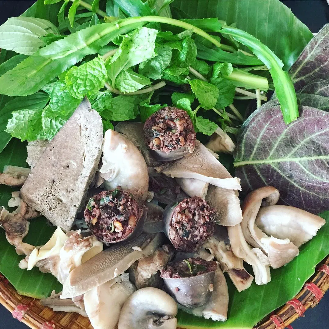 phủ tạng động vật