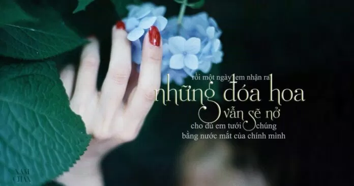 100 câu nói hay về tình yêu và cuộc sống đầy ý nghĩa sẽ cho bạn nhiều động lực - BlogAnChoi 100 câu nói hay về tình yêu và cuộc sống đầy ý nghĩa sẽ cho bạn nhiều động lực - BlogAnChoi