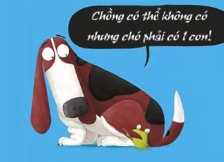 sách hay nên đọc về chó