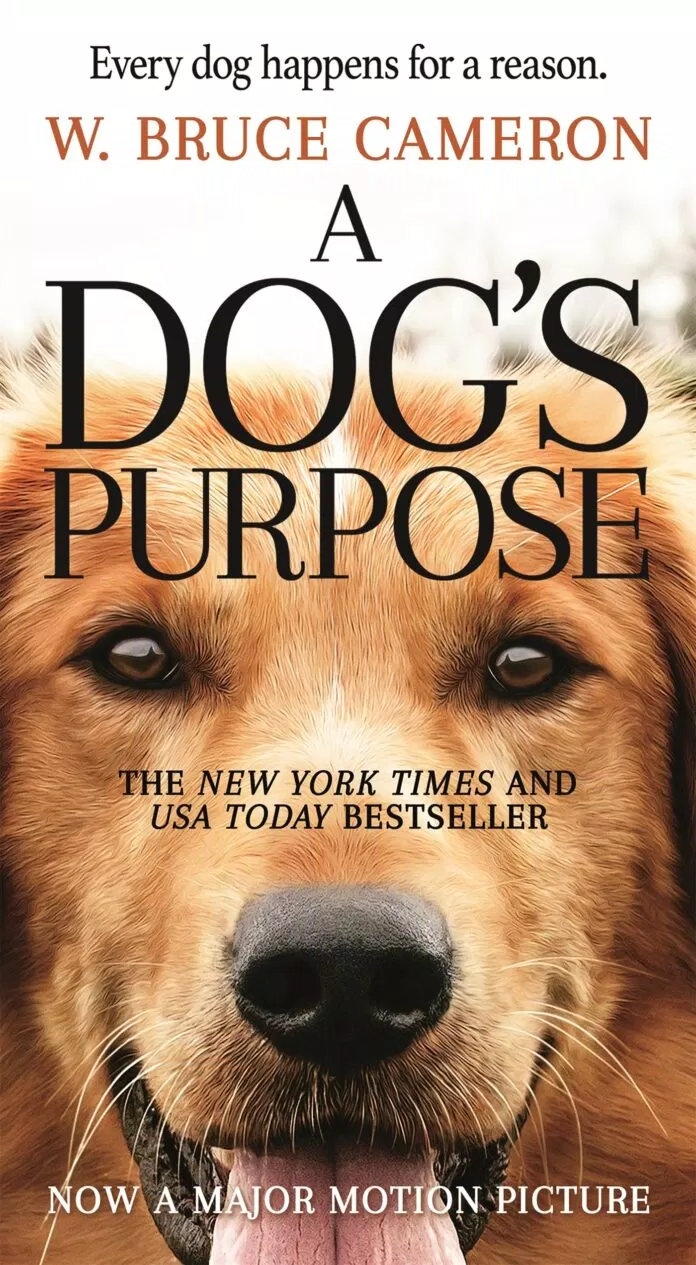 5 cuốn sách hay về loài chó chứng minh rằng “chồng không có nhưng chó phải có một con”