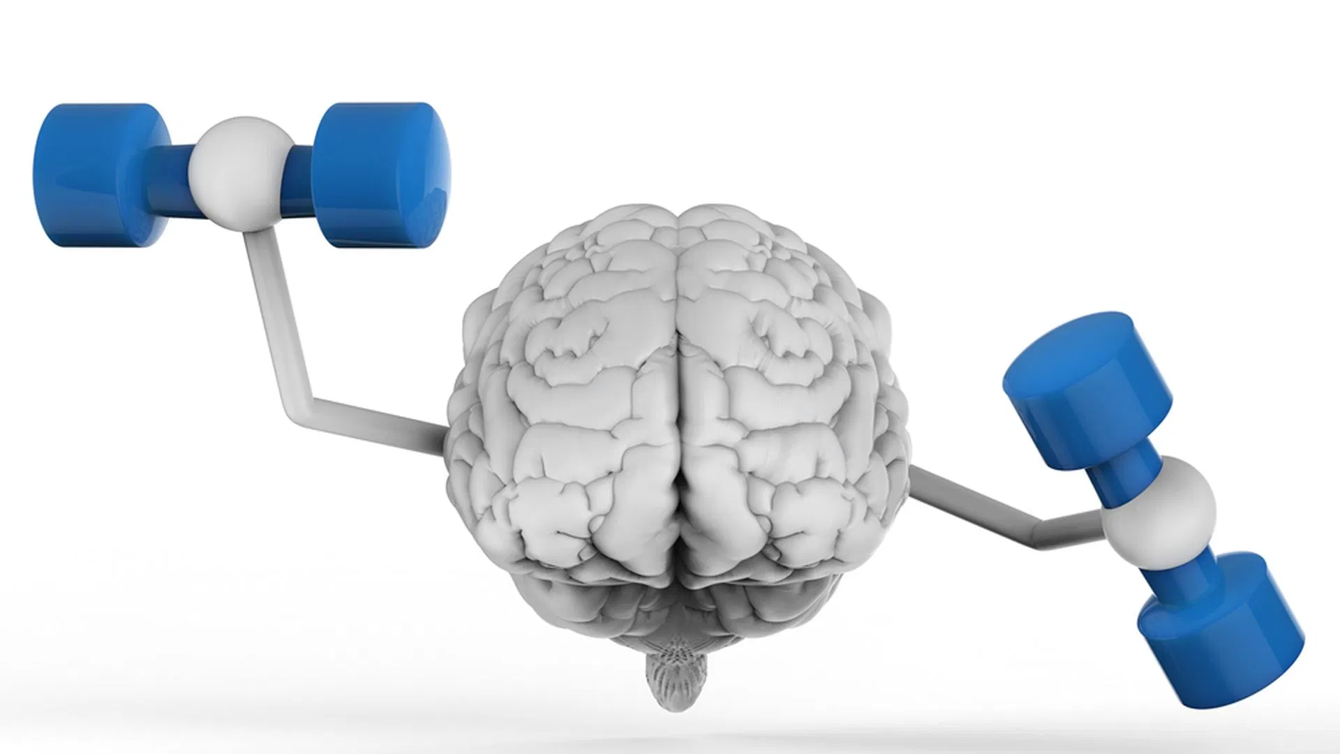 Quả óc chó giúp cải thiện tư duy logic của người trẻ tuổi Quả óc chó giúp cải thiện tư duy logic của người trẻ tuổi