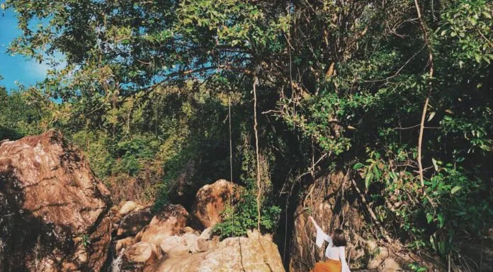 tuyệt tình cốc quy nhơn