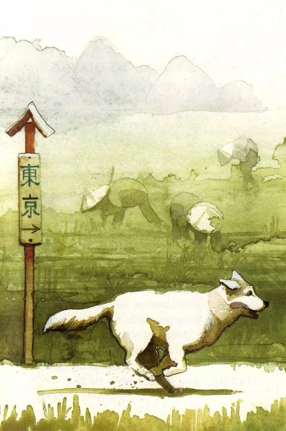 Ánh mắt đượm buồn của Hachiko vào những ngày cuối đời (Nguồn ảnh: Internet)
