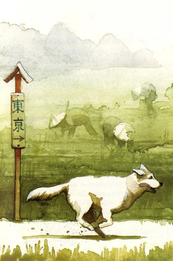 Ánh mắt đượm buồn của Hachiko vào những ngày cuối đời (Nguồn ảnh: Internet)