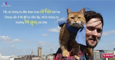 Bob- Chú Mèo Đường Phố Bob- Chú Mèo Đường Phố
