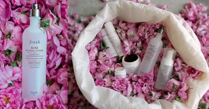 Nước hoa hồng Fresh Rose Floral Toner là sản phẩm nổi tiếng của hãng 