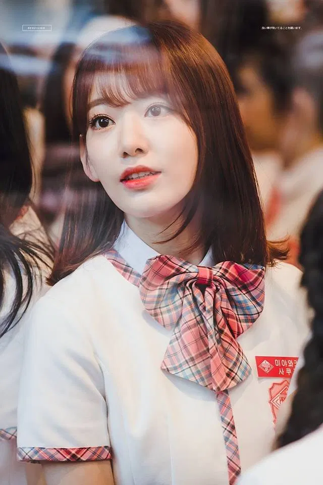 miyawaki-sakura2