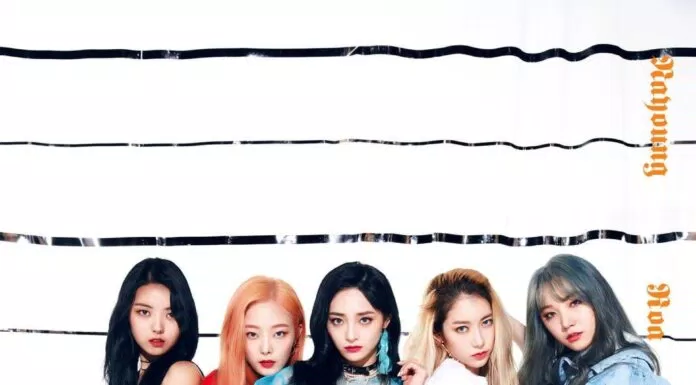 PRISTIN chính thức tan rã chỉ sau 2 năm debut – Xiyeon viết tâm thư gửi người hâm mộ