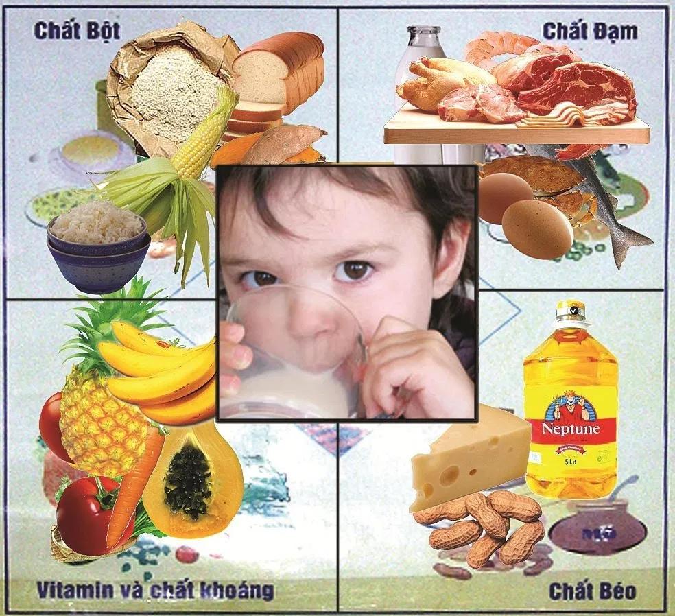 ô vuông thức ăn