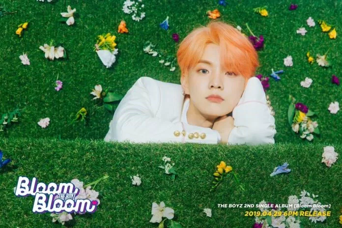 Thông tin thành viên nhóm nhạc The Boyz Thông tin thành viên nhóm nhạc The Boyz