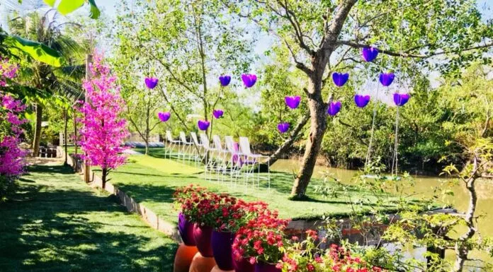 Khung cảnh tại Về Nhà Homestay vào sớm mai