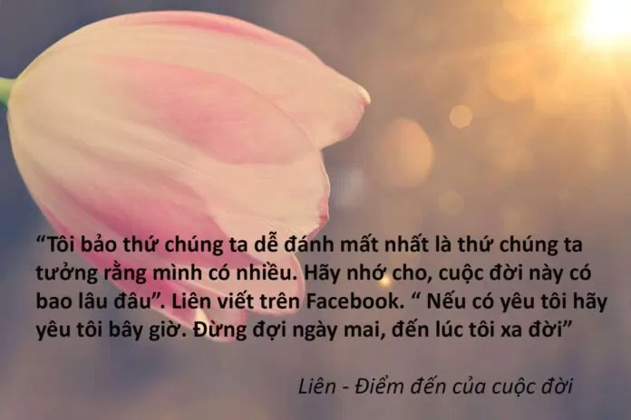 Điểm đến của cuộc đời