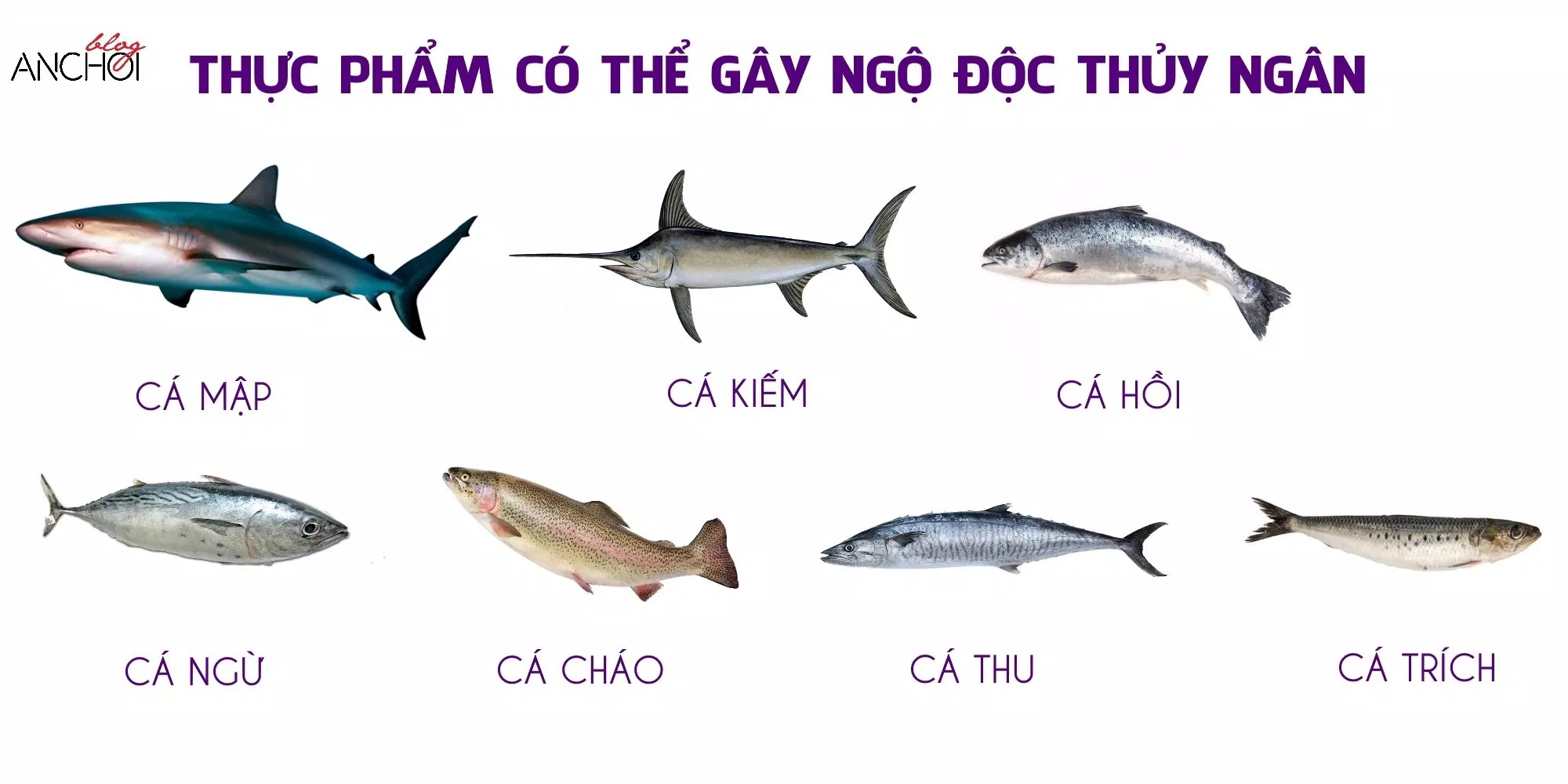 Thực phẩm có thể gây ngộ độc thủy ngân