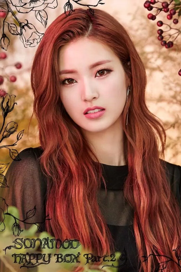 Thông tin thành viên nhóm nhạc SONAMOO Thông tin thành viên nhóm nhạc SONAMOO