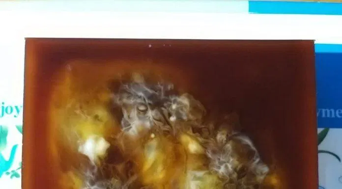 Chè mít dầm