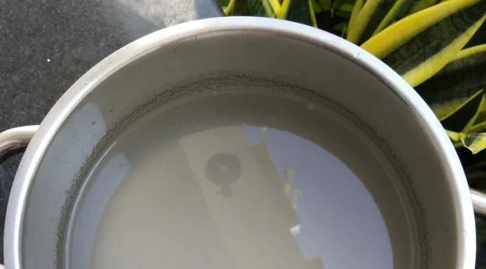 Chè mít dầm
