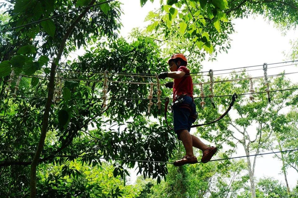 Trò chơi đu trên dây thừng tại Công viên Ozo