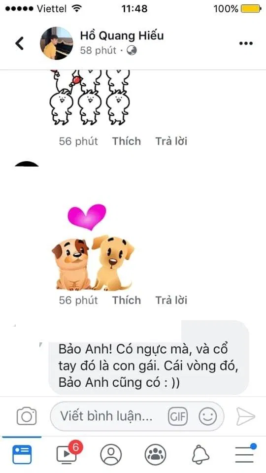 fan-duy-doan-la-bao-anh