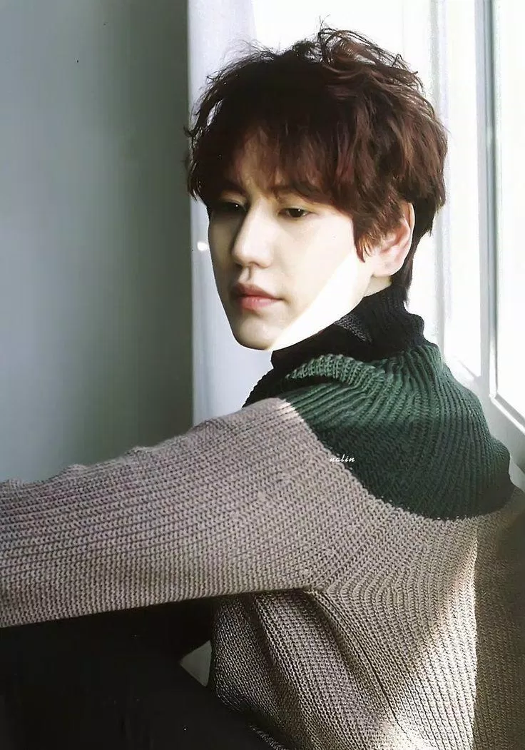 super junior kyuhuyn