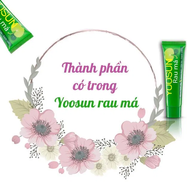 Thành phần chính của Yoosun Rau má (Nguồn: Internet)
