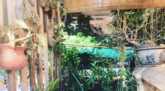 mộc cà phê