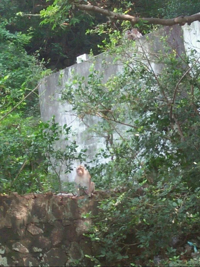 Vũng Tàu