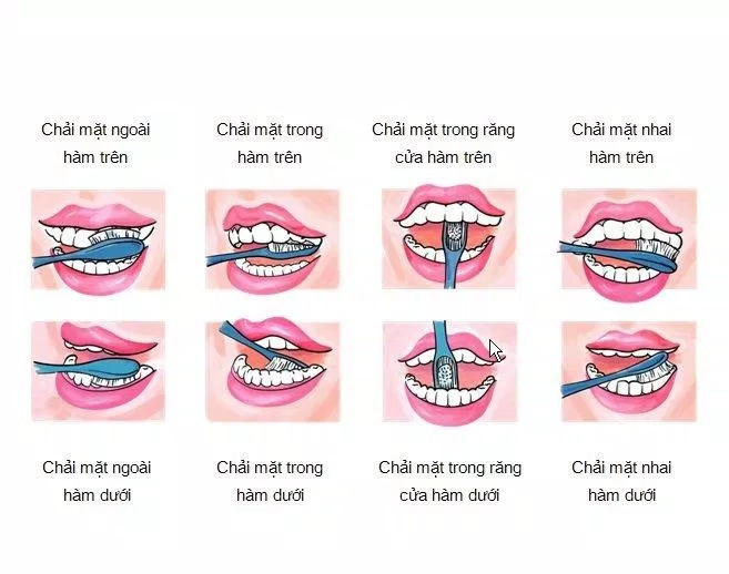 chải răng đúng cách (Nguồn: Internet) chải răng đúng cách (Nguồn: Internet)