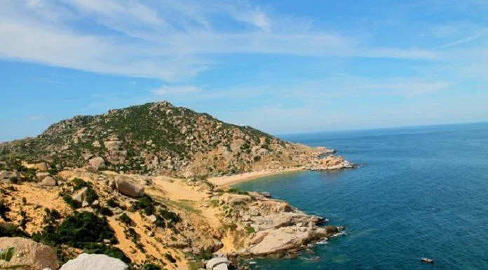 Mũi Dinh