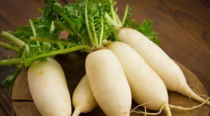 củ cải trắng