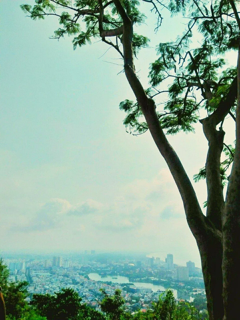 Hải Đăng Vũng Tàu