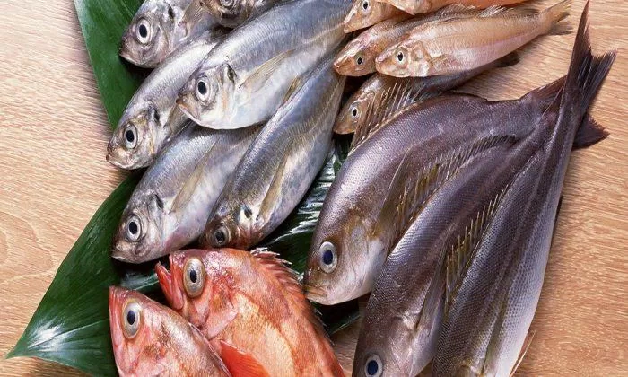 Cá biển chứa thủy ngân