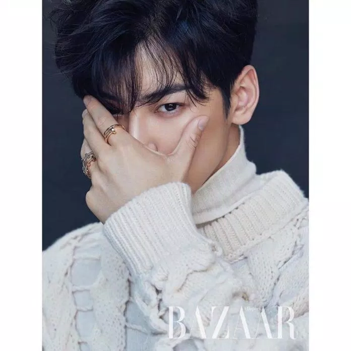 Cha Eunwoo